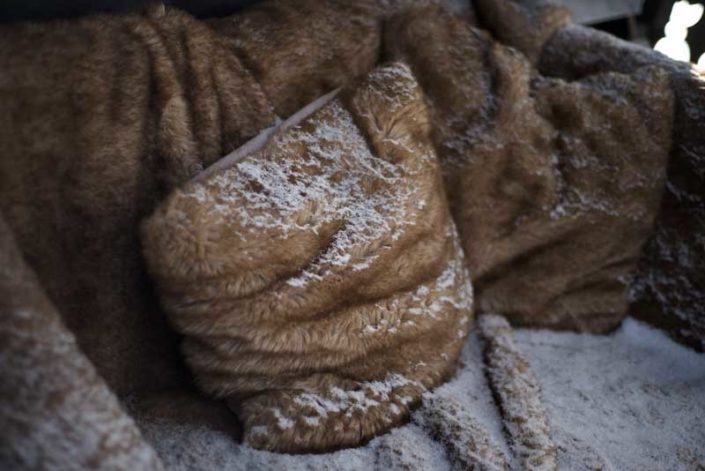 Cushions_Snow
